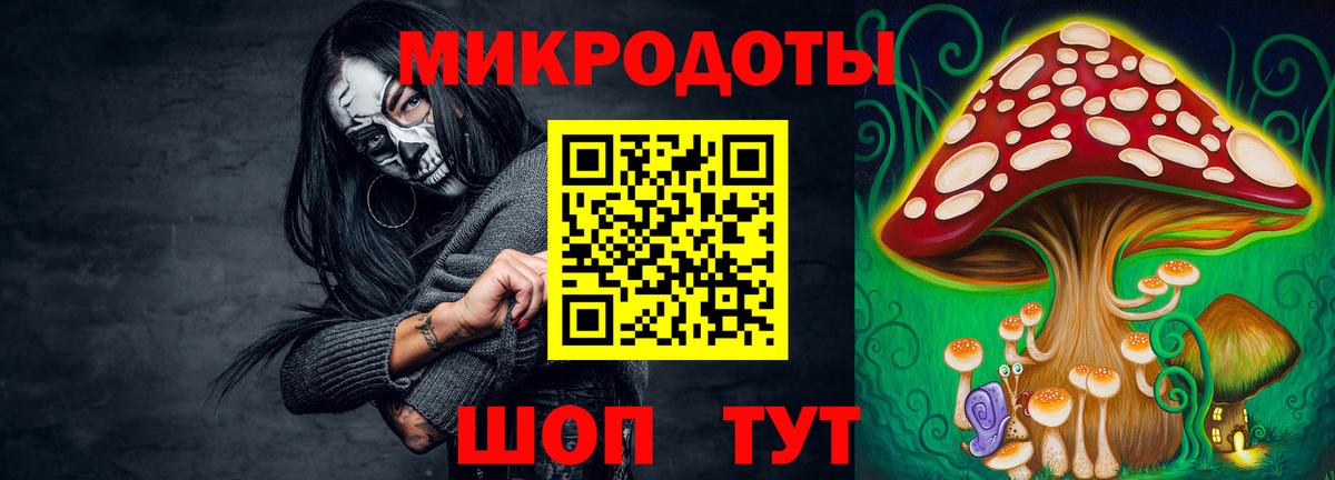 Псилоцибиновые грибы Cubensis Усть-Джегута
